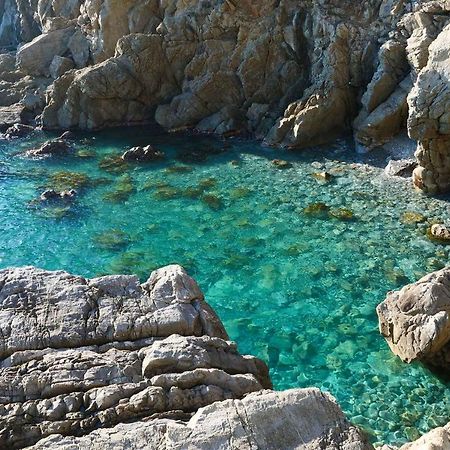 Il Cuore Di Moneglia - Moneglia Apartments Buitenkant foto