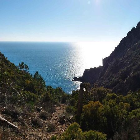 Il Cuore Di Moneglia - Moneglia Apartments Buitenkant foto