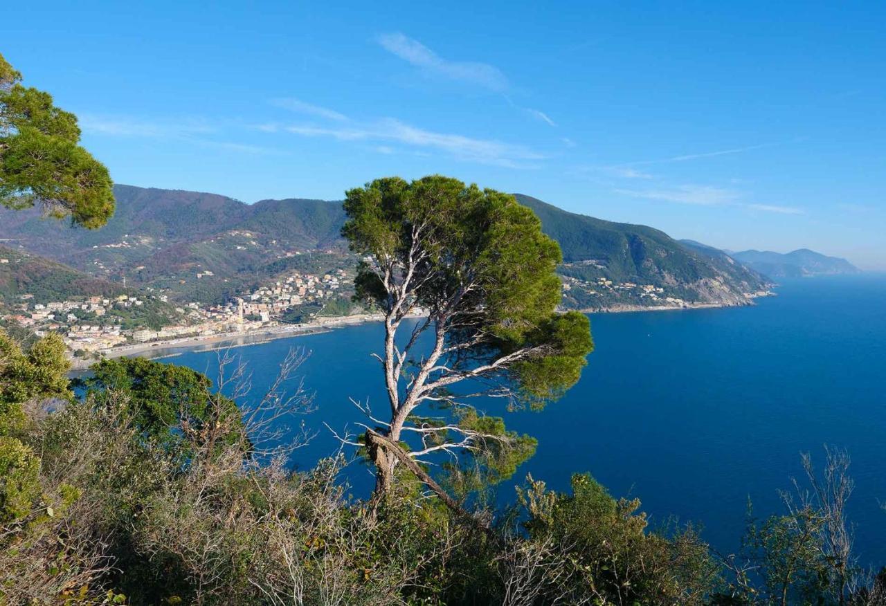 Il Cuore Di Moneglia - Moneglia Apartments Buitenkant foto